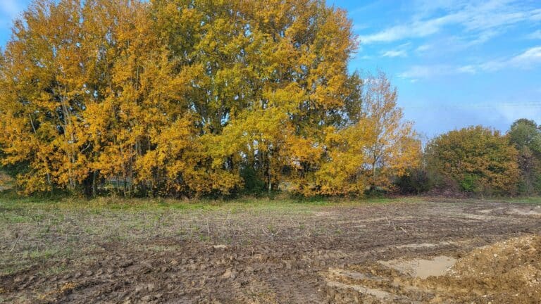 Terrains à vendre à Malataverne