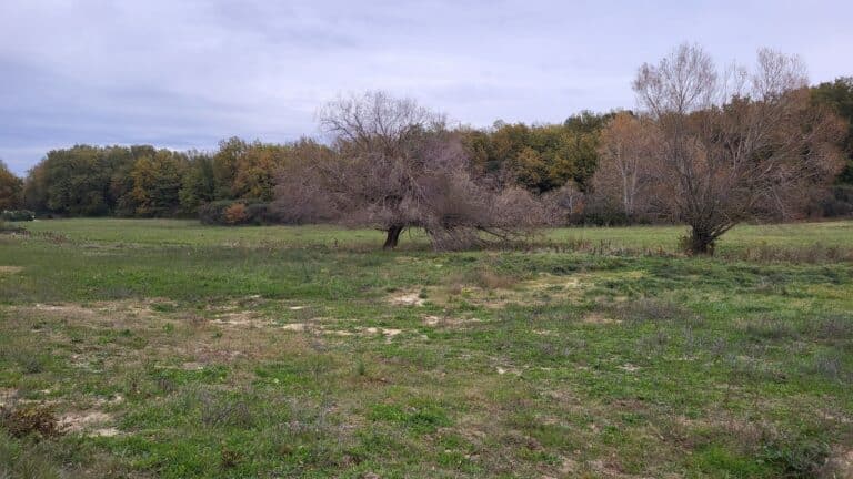 Malataverne (26780) – Terrains à vendre