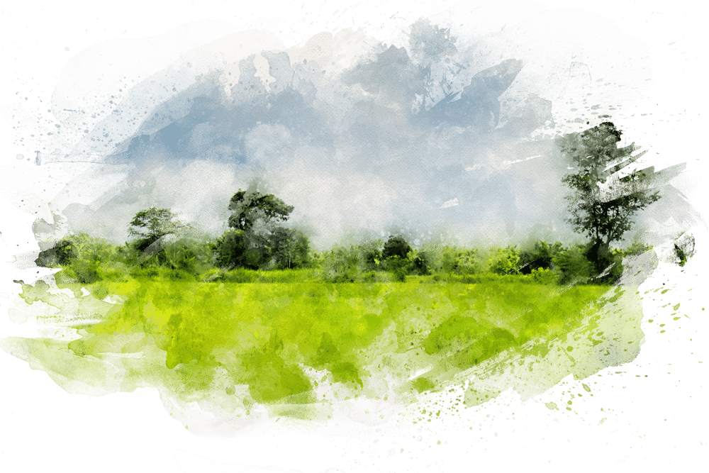 dessin terrain à construire