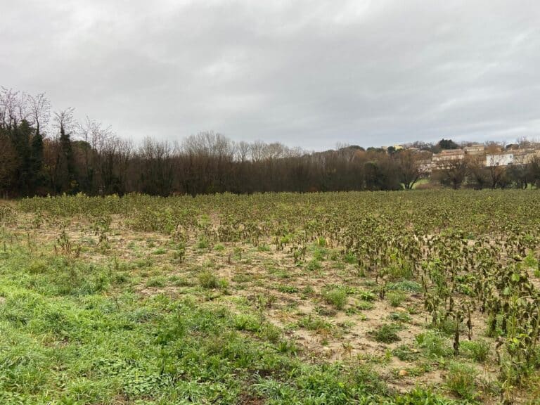 Terrains à vendre aux Granges Gontardes