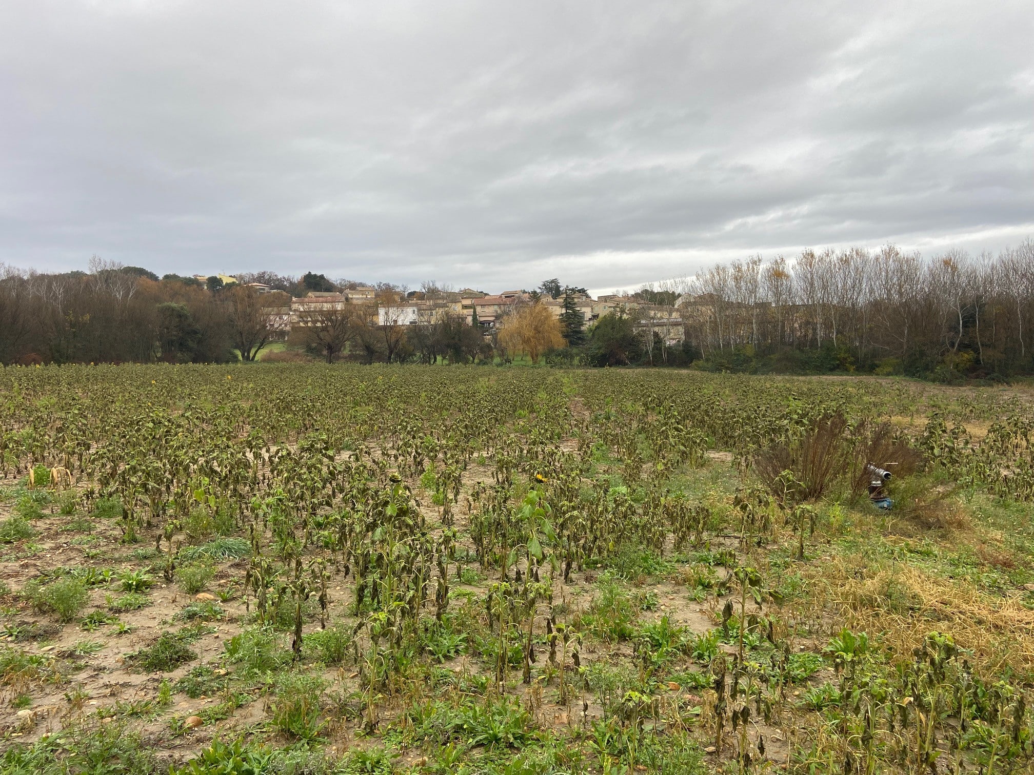 Terrain à vendre aux granges gontardes